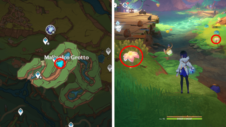 Genshin - Brilliant Chrysanthemum 72-73