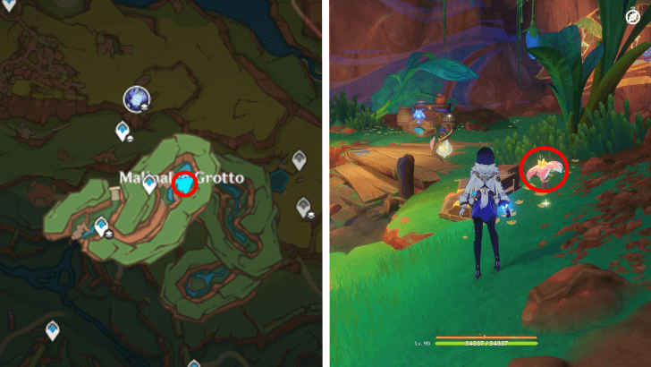 Genshin - Brilliant Chrysanthemum 74