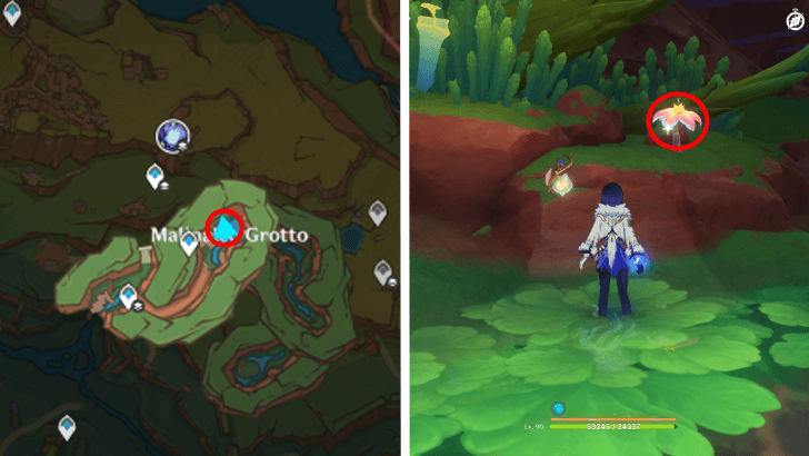 Genshin - Brilliant Chrysanthemum 75