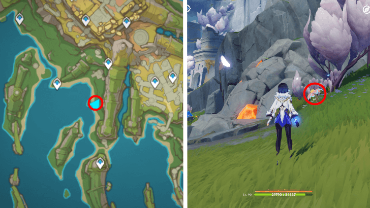 Genshin - Brilliant Chrysanthemum 76