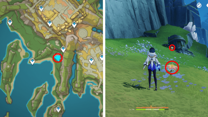 Genshin - Brilliant Chrysanthemum 77-78