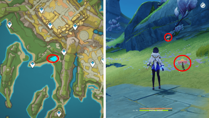 Genshin - Brilliant Chrysanthemum 79-80