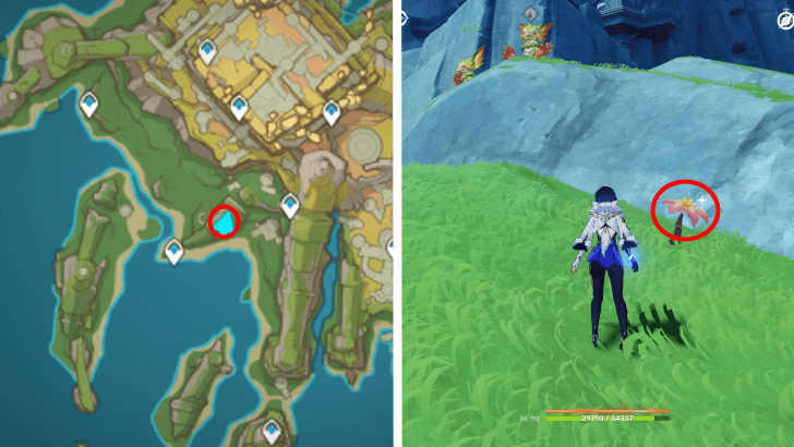 Genshin - Brilliant Chrysanthemum 81