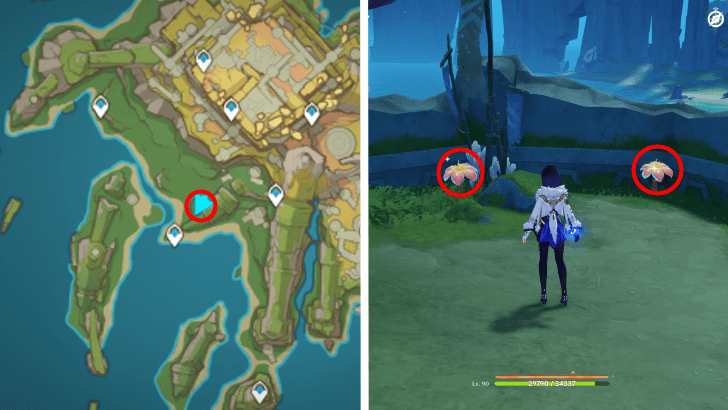 Genshin - Brilliant Chrysanthemum 82-83