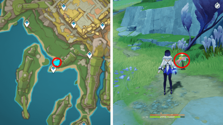 Genshin - Brilliant Chrysanthemum 84