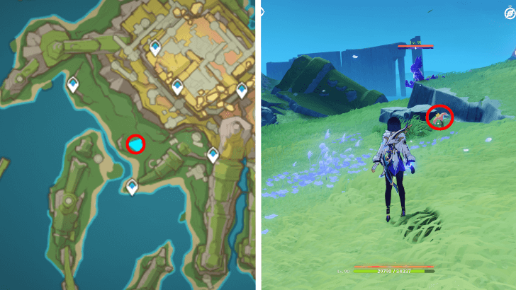 Genshin - Brilliant Chrysanthemum 91