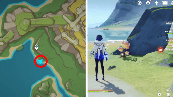 Genshin - Saurian Claw Succulent 78