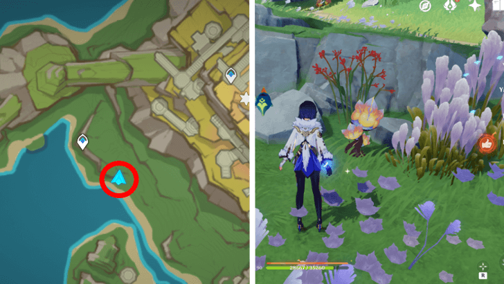 Genshin - Saurian Claw Succulent 79