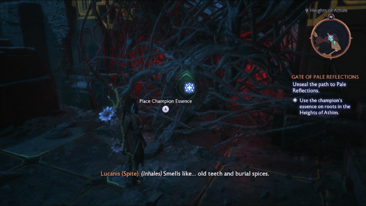 Gate of Pale Reflections