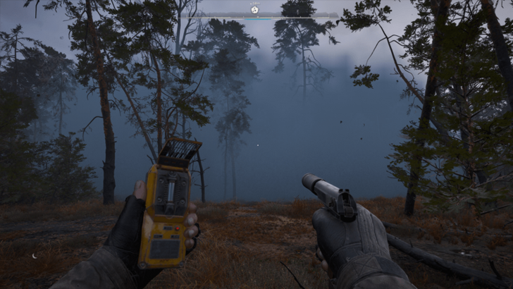 Burnt Forest The Mist