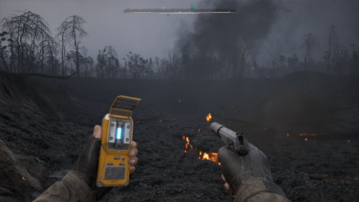 Burnt Forest Conflagration