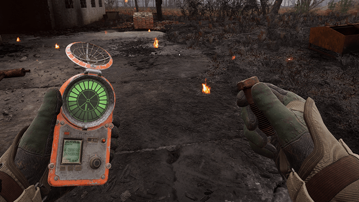 Bear Detector in Action