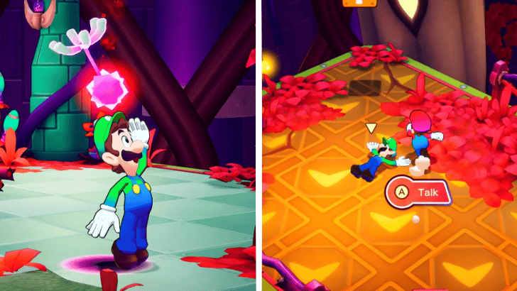 Soli-Tree Walkthrough Glohm Seeds Separate Mario and Luigi