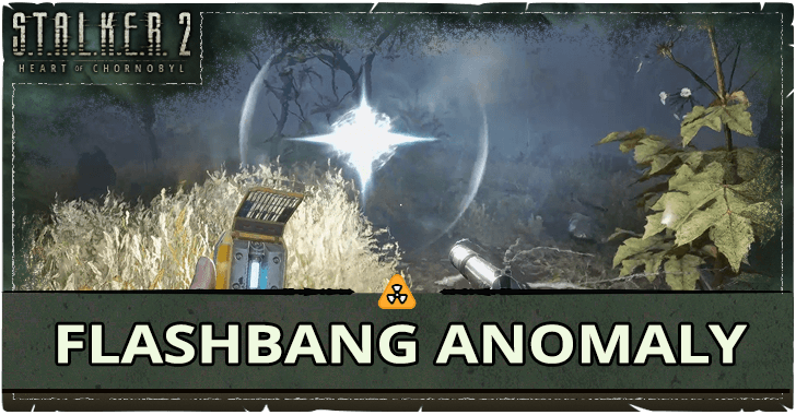Stalker 2 - Flashbang Anomaly.png