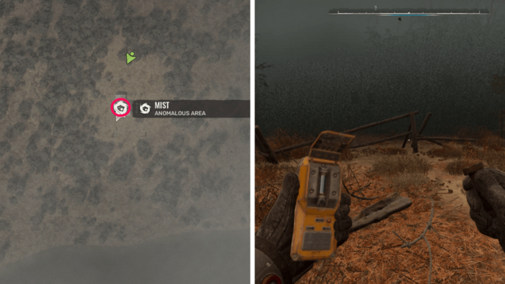 Mist Anomaly Map View