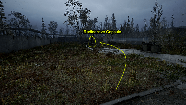 SSP-100 Discovery Lead Container 2