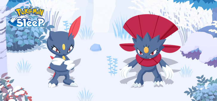 New Pokemon Sneasel and Weavile