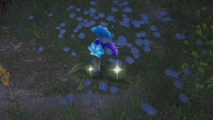 Infinity Nikki Release Livestream Summary and Details - New Materials and Collectibles - Glimmergrass