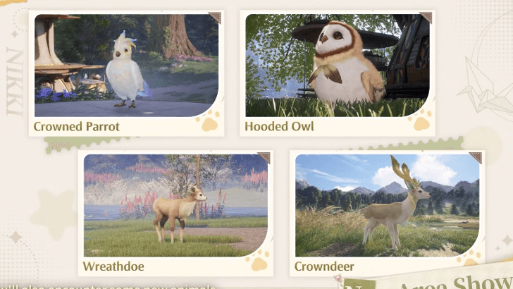 Infinity Nikki Release Livestream Summary and Details - New Wildlife Updates 2