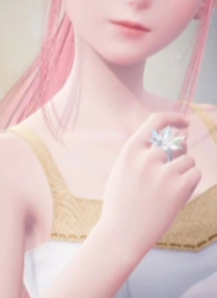 Winter Collection Image