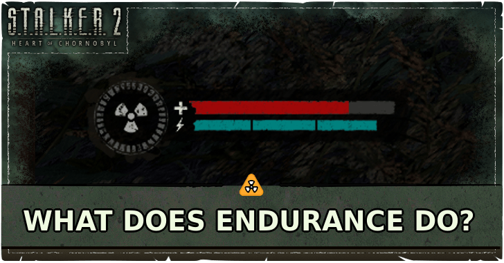STALKER 2 Heart of Chornobyl What Does Endurance Do