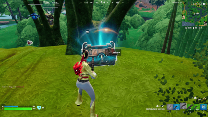 Fortnite Great Turtle Loot