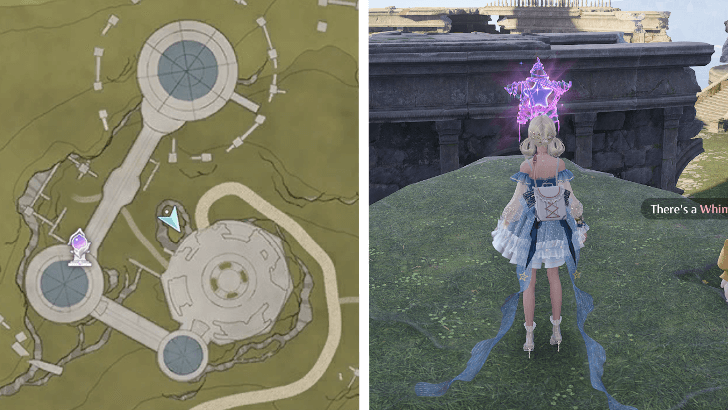 Whimstar Florawish 3