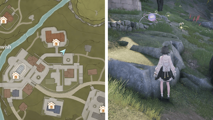 Whimstar Florawish 9