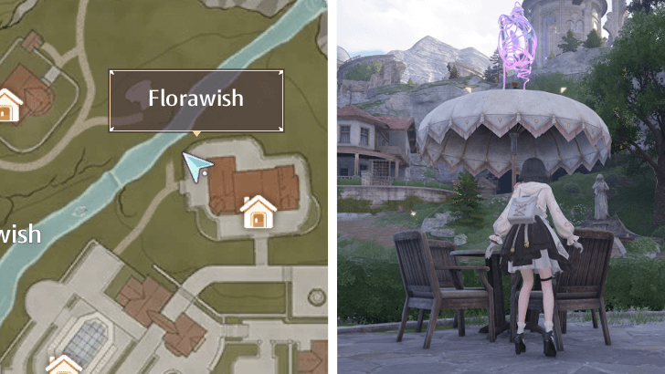 Whimstar Florawish 10