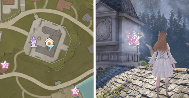 Whimstar Florawish 19