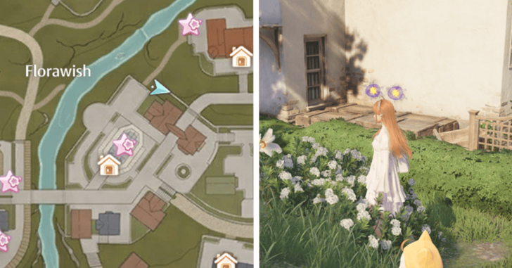 Dew of Inspiration - Florawish - 15~16