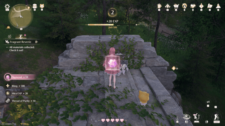 Treasure Chest Rewards