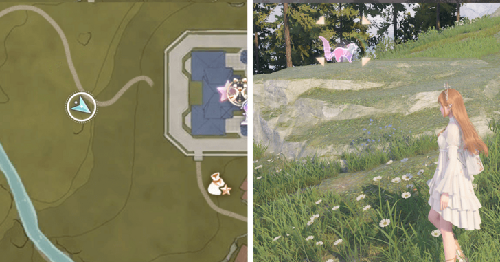 Whimstar Florawish 20