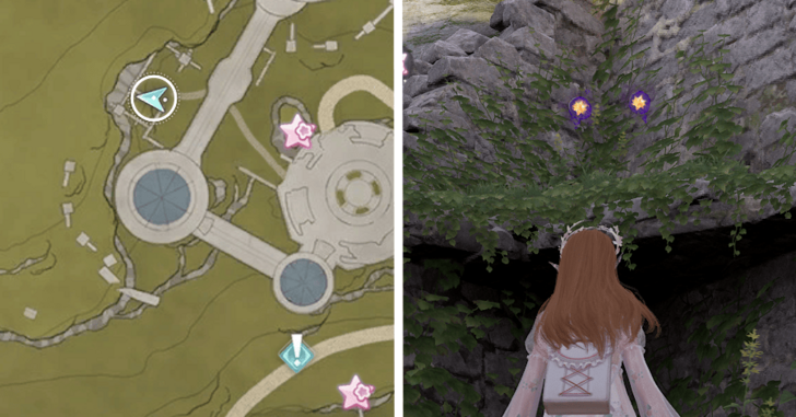 Dew of Inspiration - Florawish - 36~37