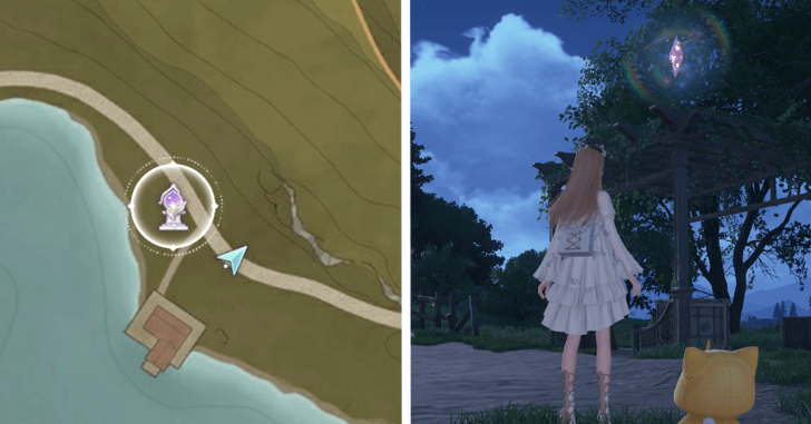 Whimstar Florawish 24