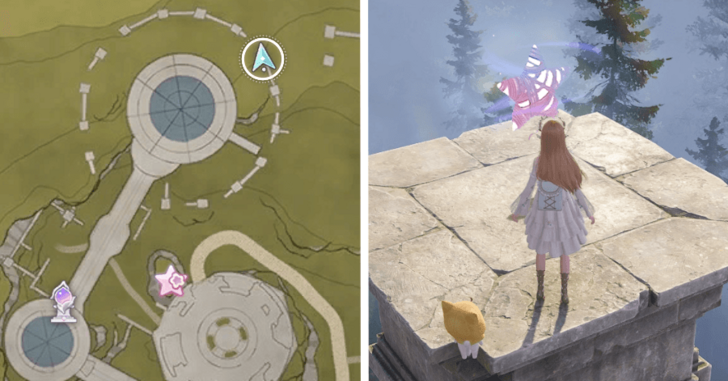 Florawish Whimstar 21