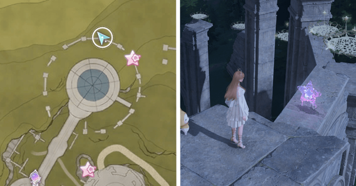 Florawish Whimstar 26