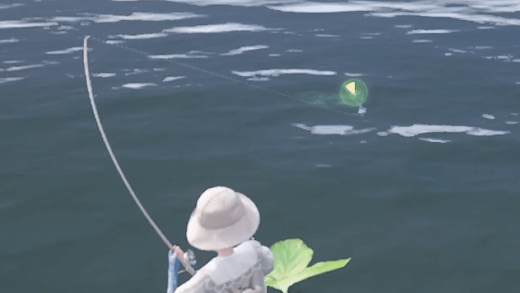 Pull in the Opposite Direction of the Fish