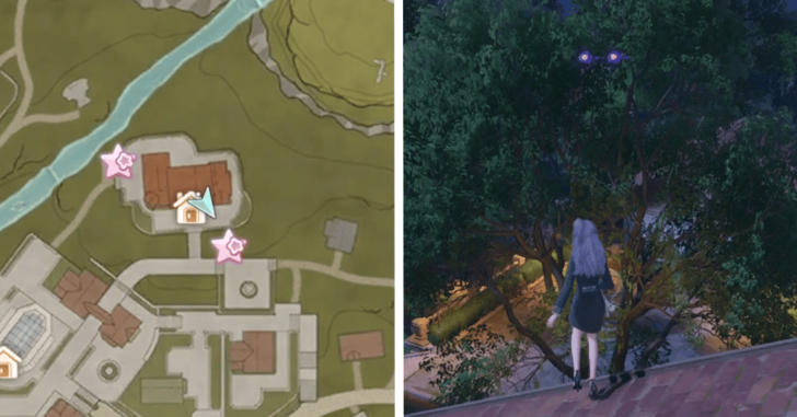 Dew of Inspiration - Florawish - 61~62