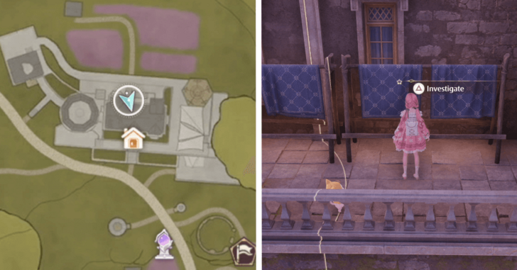 Whimstar Stoneville 3