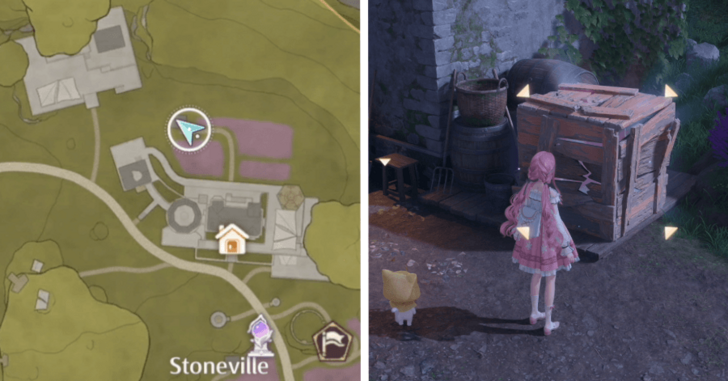 Whimstar Stoneville 5