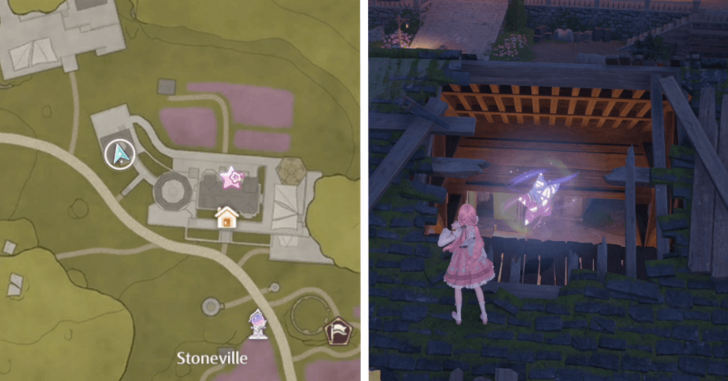 Whimstar Stoneville 4