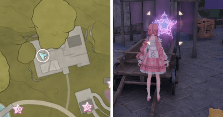 Whimstar Stoneville 10