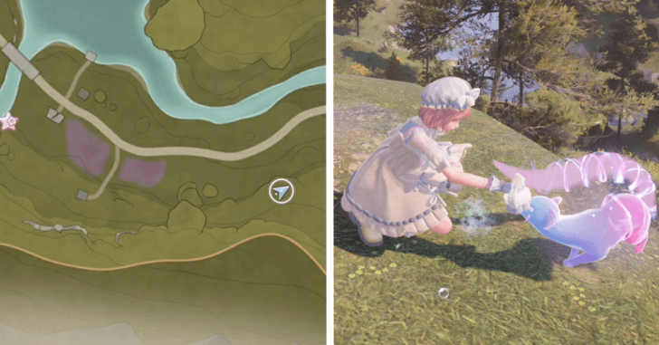 Whimstar Stoneville 14