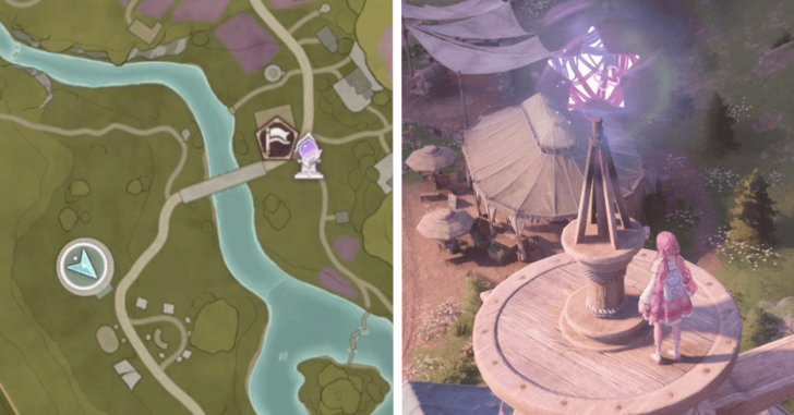 Whimstar Stoneville 13