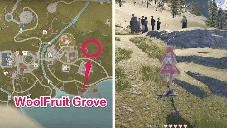 Go to Woolfruit Grove and look for Salai and Farini