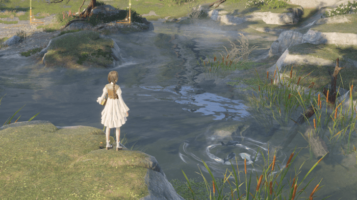 Infinity Nikki - Observation Shimmer Pond Fish