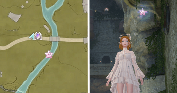 Whimstar Florawish 34