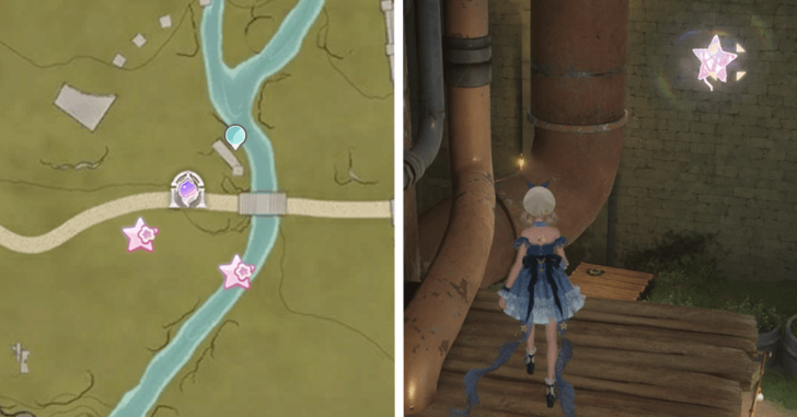 Whimstar Florawish 36