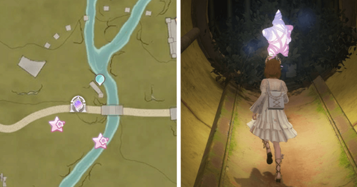 Whimstar Florawish 35